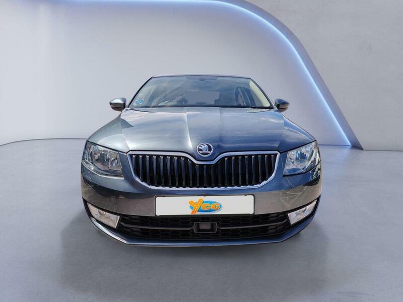 Skoda Octavia 1.4 Tsi Elegance Hatchback Dsg Euro 5 Grey #3