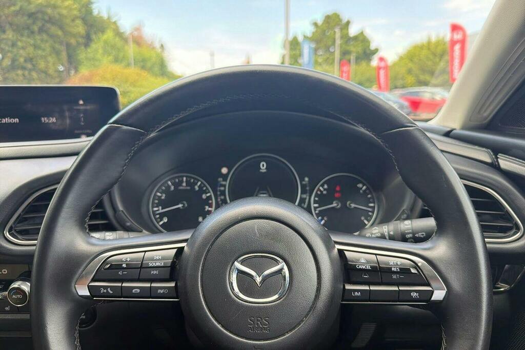 Mazda CX-30 2.5 E-skyactiv G Mhev Takumi Suv Red #13