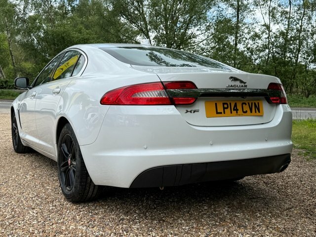 Jaguar XF Luxury Saloon White #3
