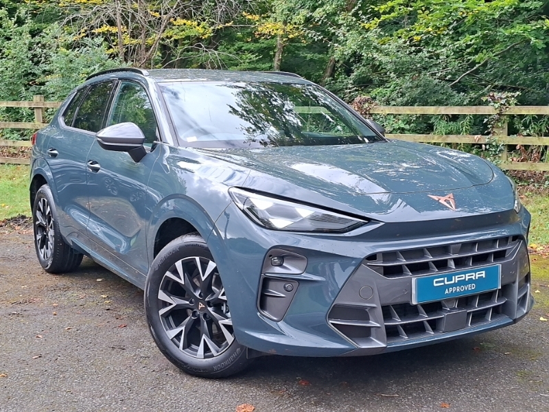 Cupra Terramar 1.5 Etsi 150 V1 Dsg Blue