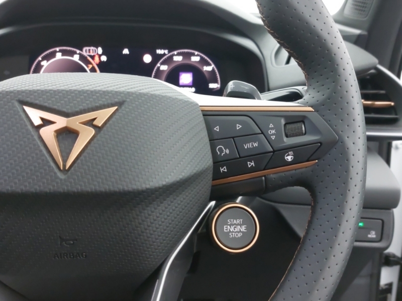 Cupra Terramar 1.5 Ehybrid 204 V1 Dsg Blue #13
