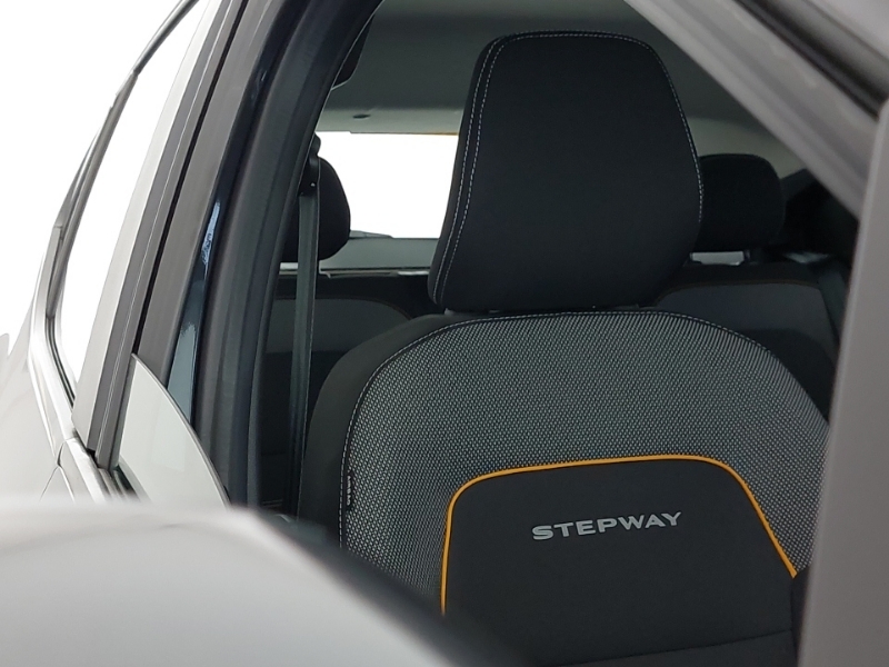 Dacia Sandero Stepway 1.0 Tce Bi-fuel Se Twenty Grey #17