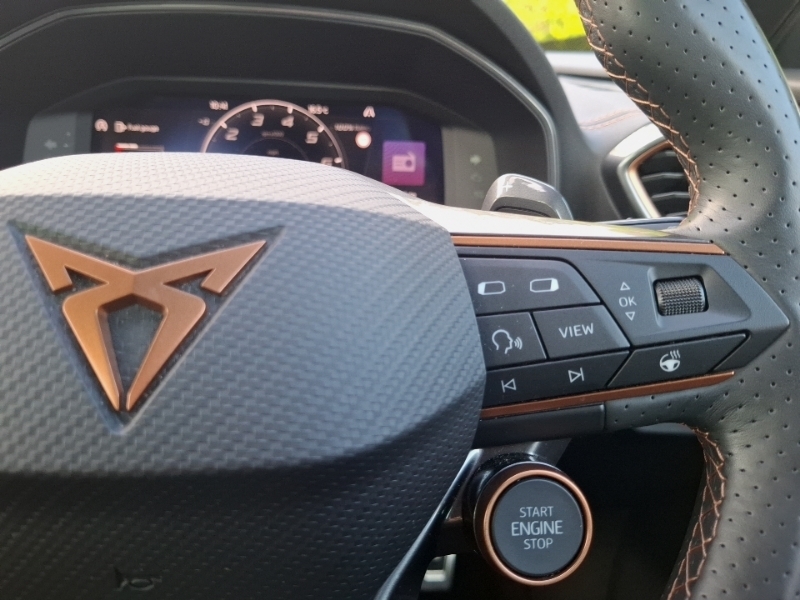 Cupra Formentor Formentor 2.0 Tsi 310 Vz2 Dsg 4Drive Black #13