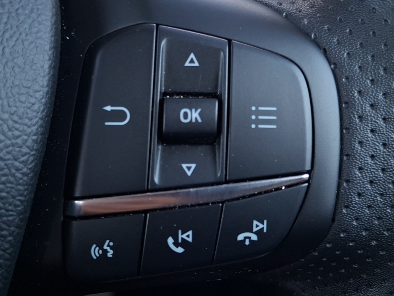 Ford Kuga 2.5 Fhev Vignale Cvt Black #13