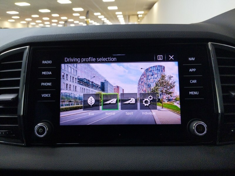 Skoda Karoq Se L Blue #18