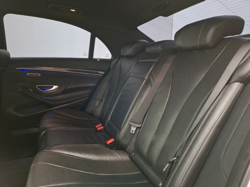 Mercedes-Benz S Class S350d L Amg Line 9G-tronic Silver #6