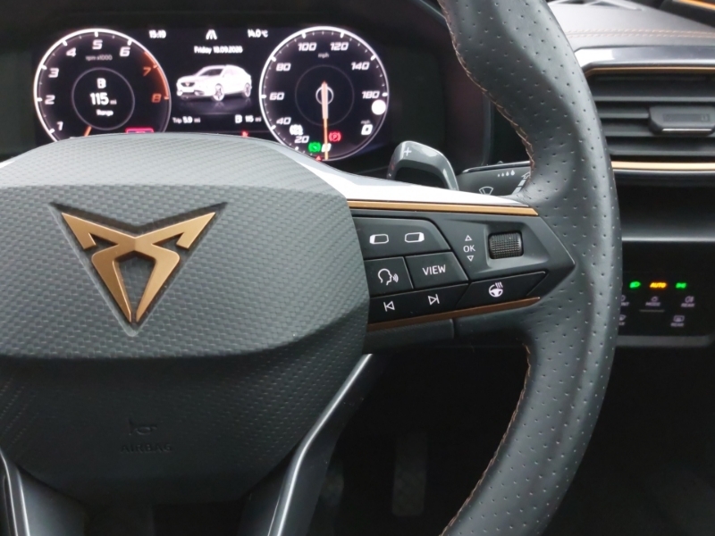 Cupra Formentor Vz2 Tsi 4Drive 310 7-Speed Grey #13