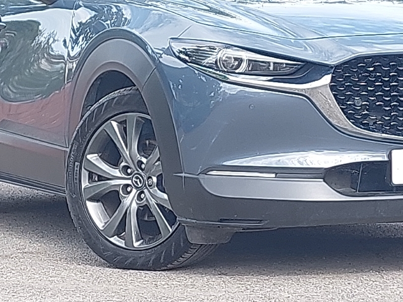 Mazda CX-30 2.0 E-skyactiv G Mhev Sport Lux Euro 6 Ss Grey #20