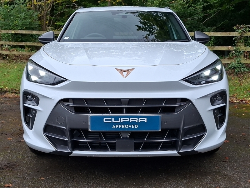 Cupra Terramar 2.0 Tsi 204 V1 Dsg 4Drive White #5