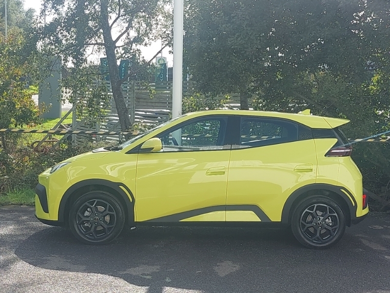 Byd Dolphin Dolphin Surf 115Kw Comfort 43Kwh Hatchbac Blue #4