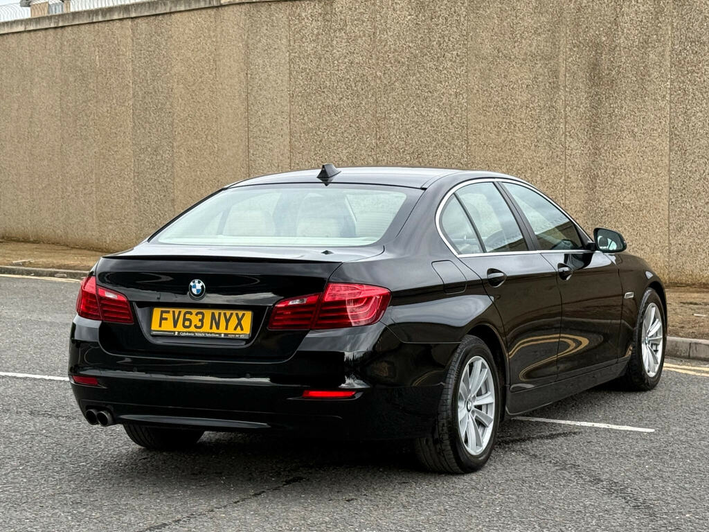 BMW 5 Series 520D Luxury Touring Brown #13