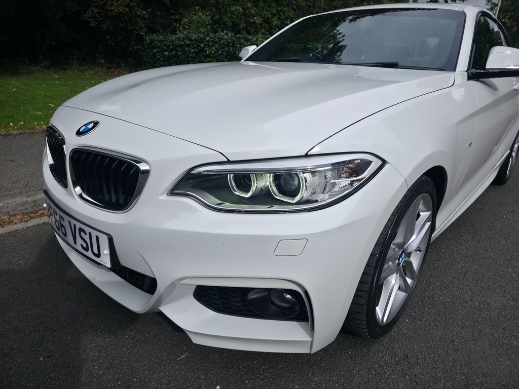 BMW 2 Series 2.0 M Sport Euro 6 Ss White #6