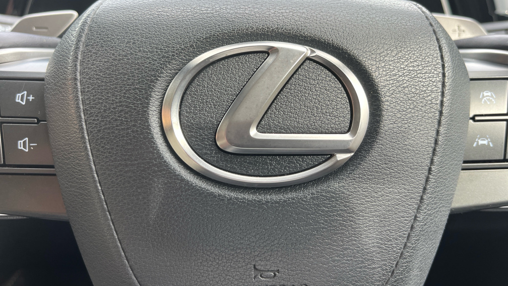 Lexus RX 2.5 350H Prem E-cvt 4Wd Euro 6 Ss Blue #21