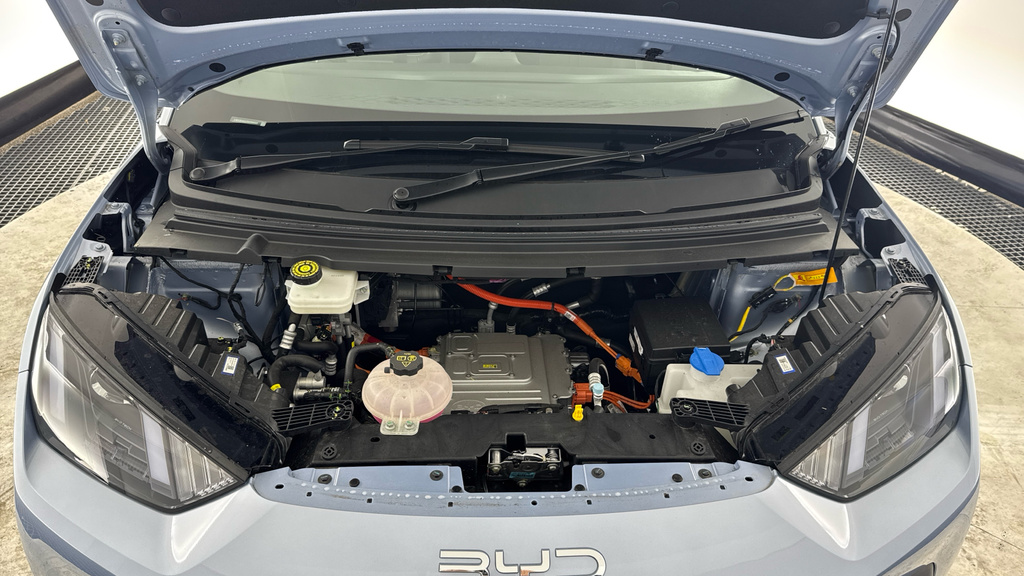 Byd Dolphin 115Kw Comfort 43Kwh 2025 Green #16