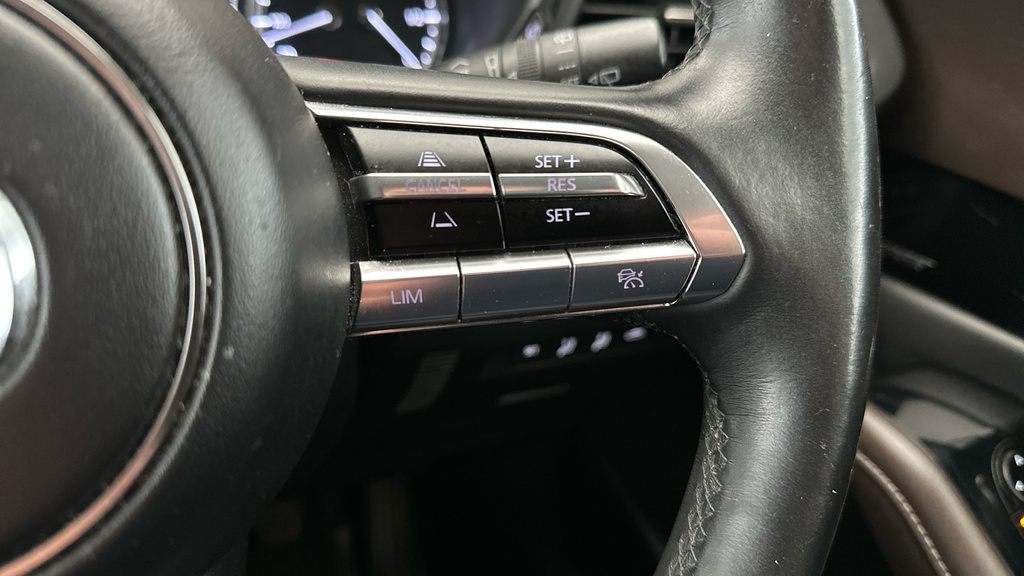 Mazda CX-30 2.0 Skyactiv-x Mhev Gt Sport Tech #18