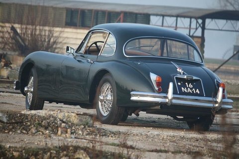 Jaguar XK Coupe #5
