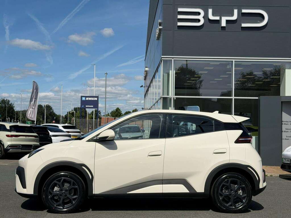 Byd Dolphin 65Kw Boost 43Kwh White #3