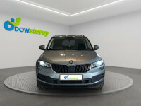 Skoda Karoq Se L Tdi Dsg Grey #24