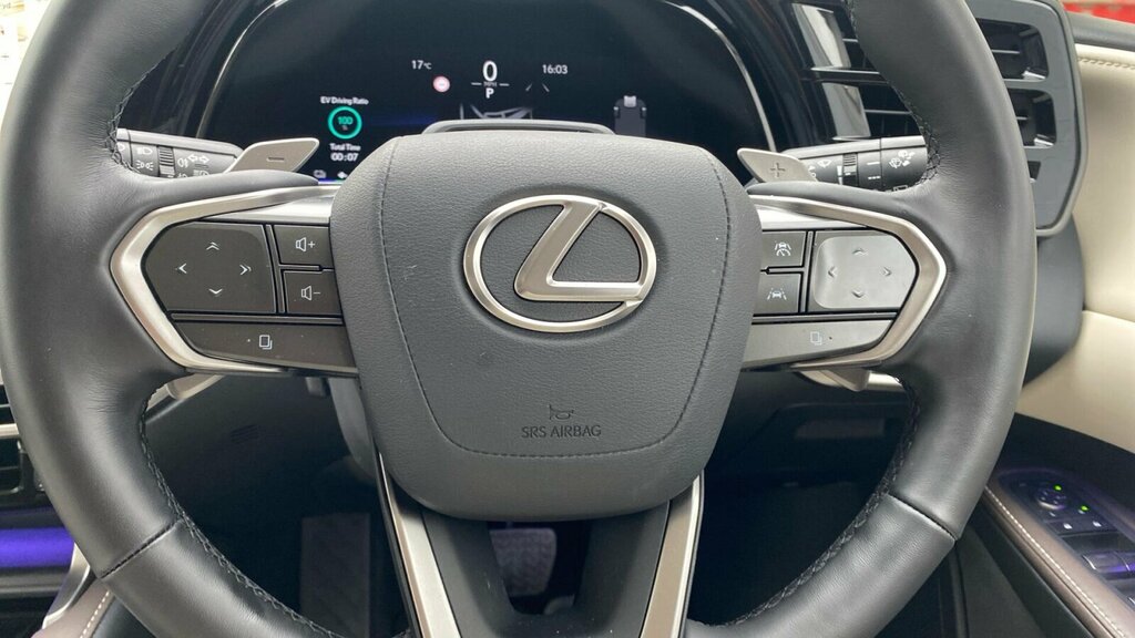 Lexus RX 2.5 450H 18.1Kwh Prem Plus E-cvt 4Wd Red #11