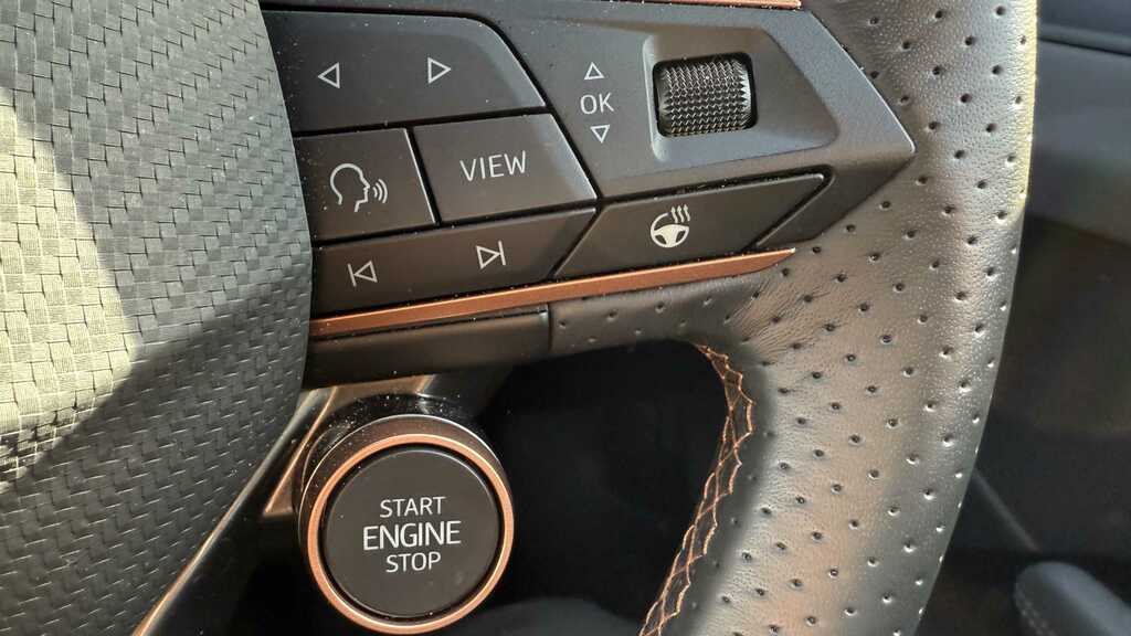 Cupra Terramar 1.5 Etsi V2 Suv Hybrid Dsg Euro 6 Ss Grey #15