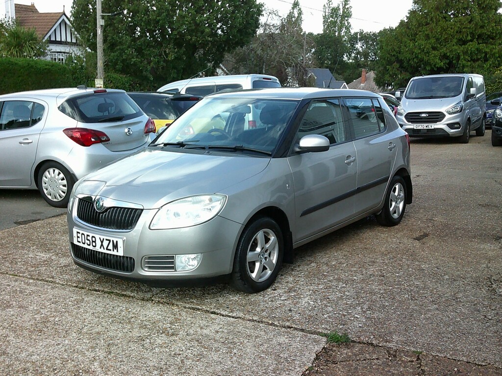 Skoda Fabia 1.4 Tdi Pure Drive Greenline Beige #5