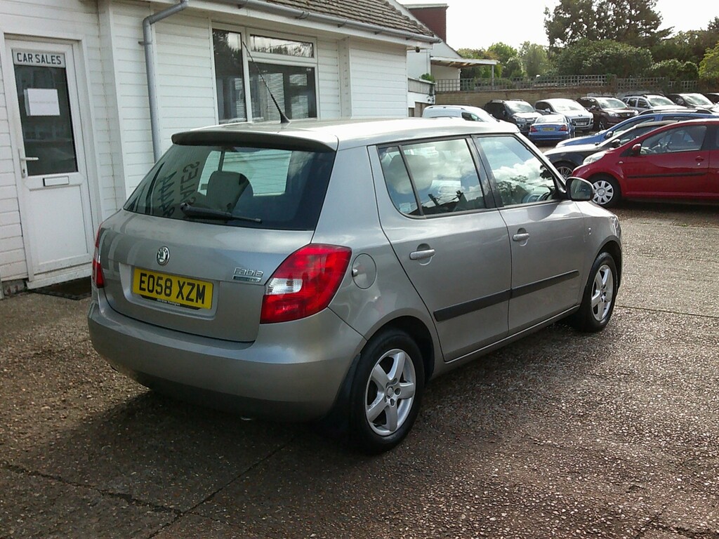 Skoda Fabia 1.4 Tdi Pure Drive Greenline Beige #2
