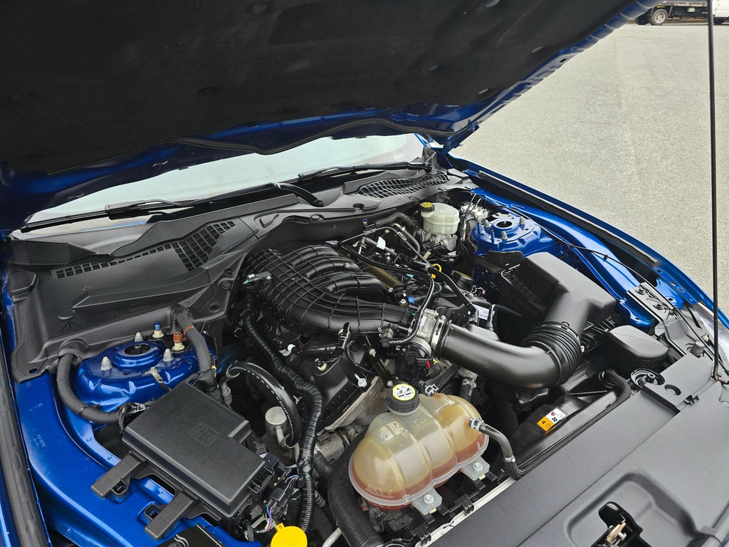 Ford Mustang 5.0 V8 Mach 1 Fastback Tremec Euro 6 #36