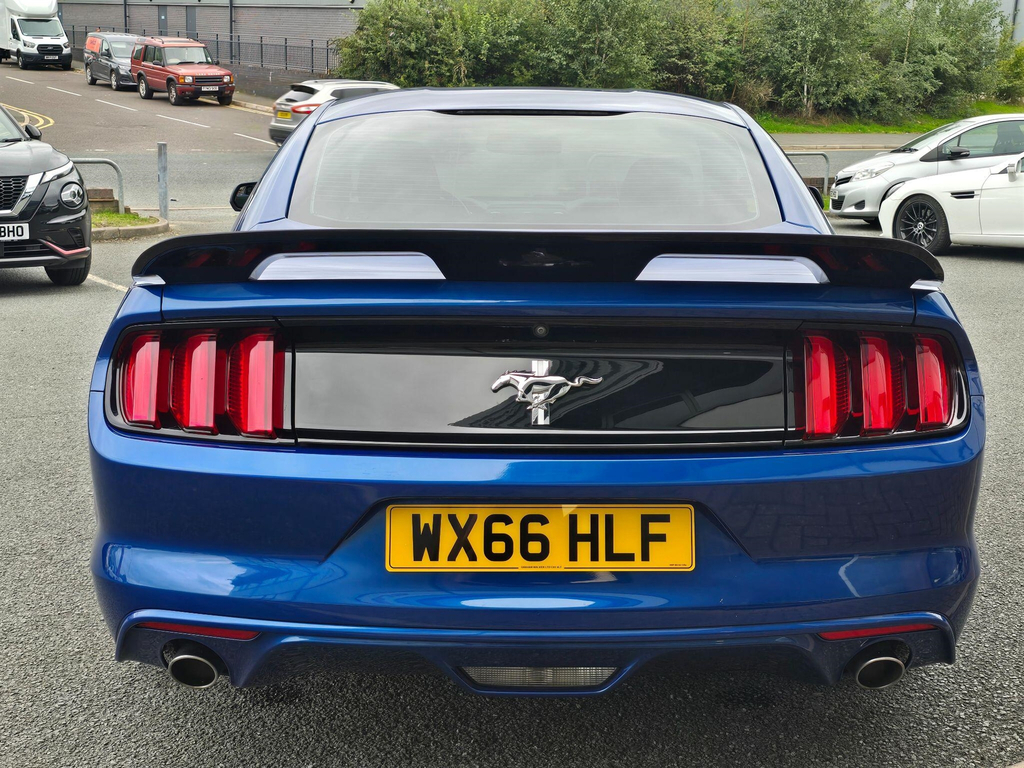 Ford Mustang 5.0 V8 Mach 1 Fastback Tremec Euro 6 #17