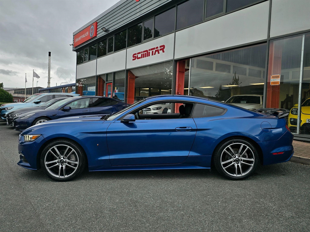 Ford Mustang 5.0 V8 Mach 1 Fastback Tremec Euro 6 #14