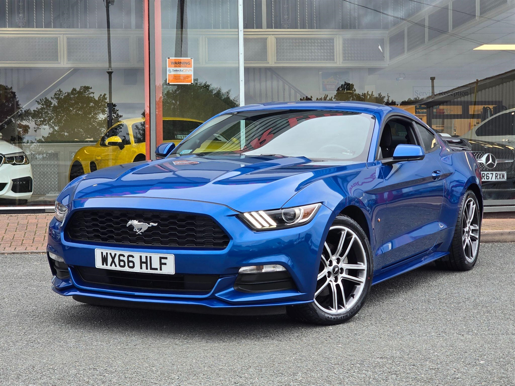Ford Mustang 5.0 V8 Mach 1 Fastback Tremec Euro 6 #10