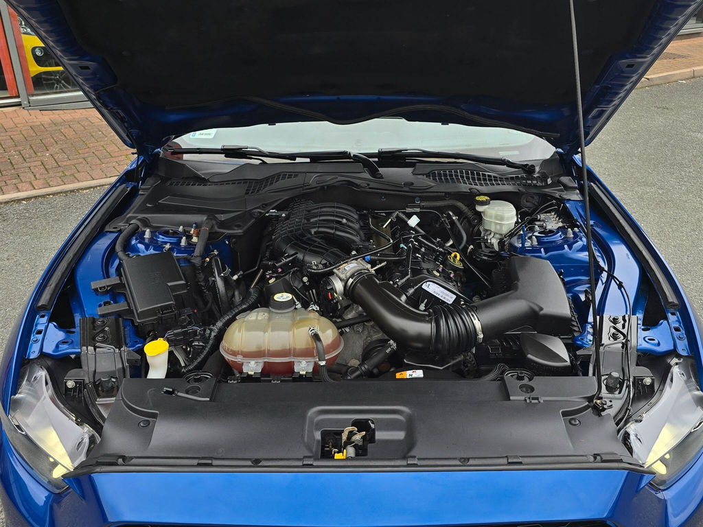 Ford Mustang 5.0 V8 Mach 1 Fastback Tremec Euro 6 #34