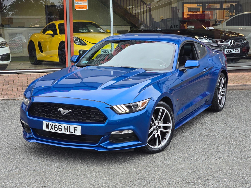 Ford Mustang 5.0 V8 Mach 1 Fastback Tremec Euro 6 #9