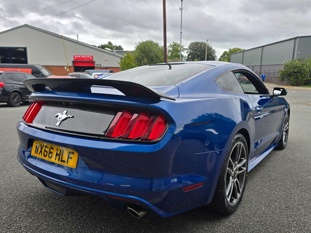 Ford Mustang 5.0 V8 Mach 1 Fastback Tremec Euro 6 #21