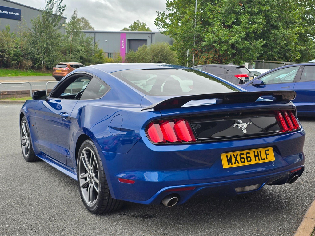 Ford Mustang 5.0 V8 Mach 1 Fastback Tremec Euro 6 #13