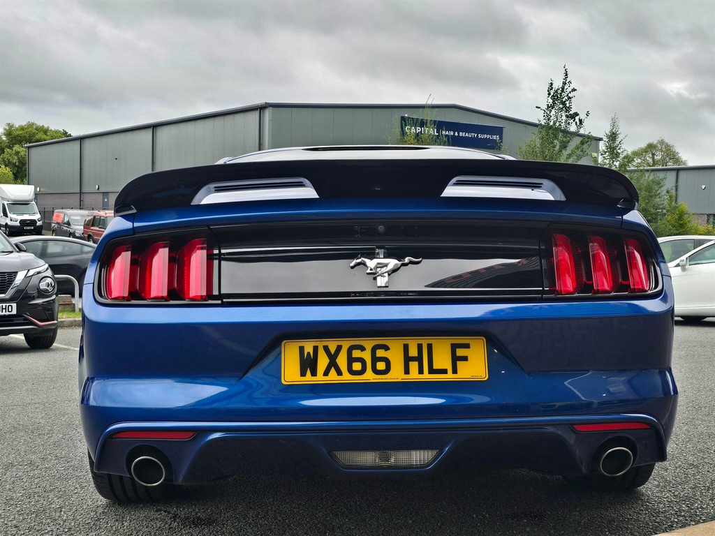 Ford Mustang 5.0 V8 Mach 1 Fastback Tremec Euro 6 #15