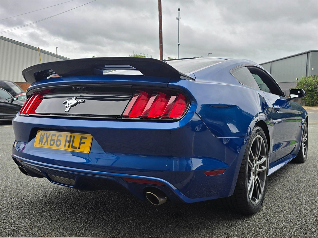 Ford Mustang 5.0 V8 Mach 1 Fastback Tremec Euro 6 #19