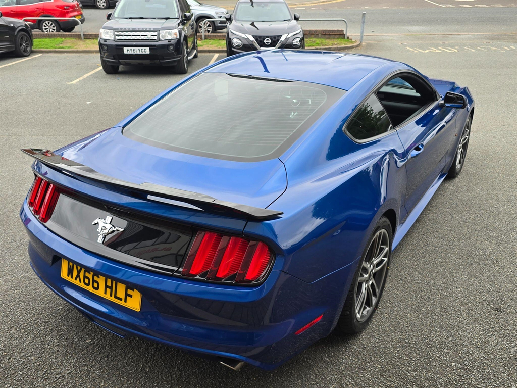 Ford Mustang 5.0 V8 Mach 1 Fastback Tremec Euro 6 #20