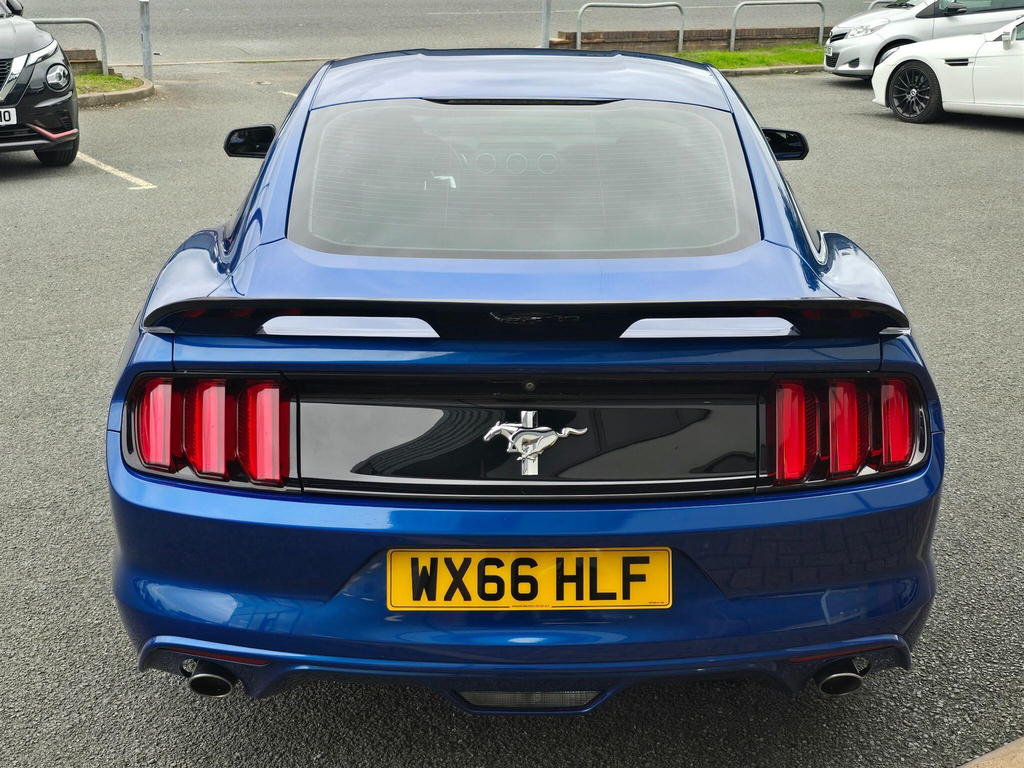Ford Mustang 5.0 V8 Mach 1 Fastback Tremec Euro 6 #16