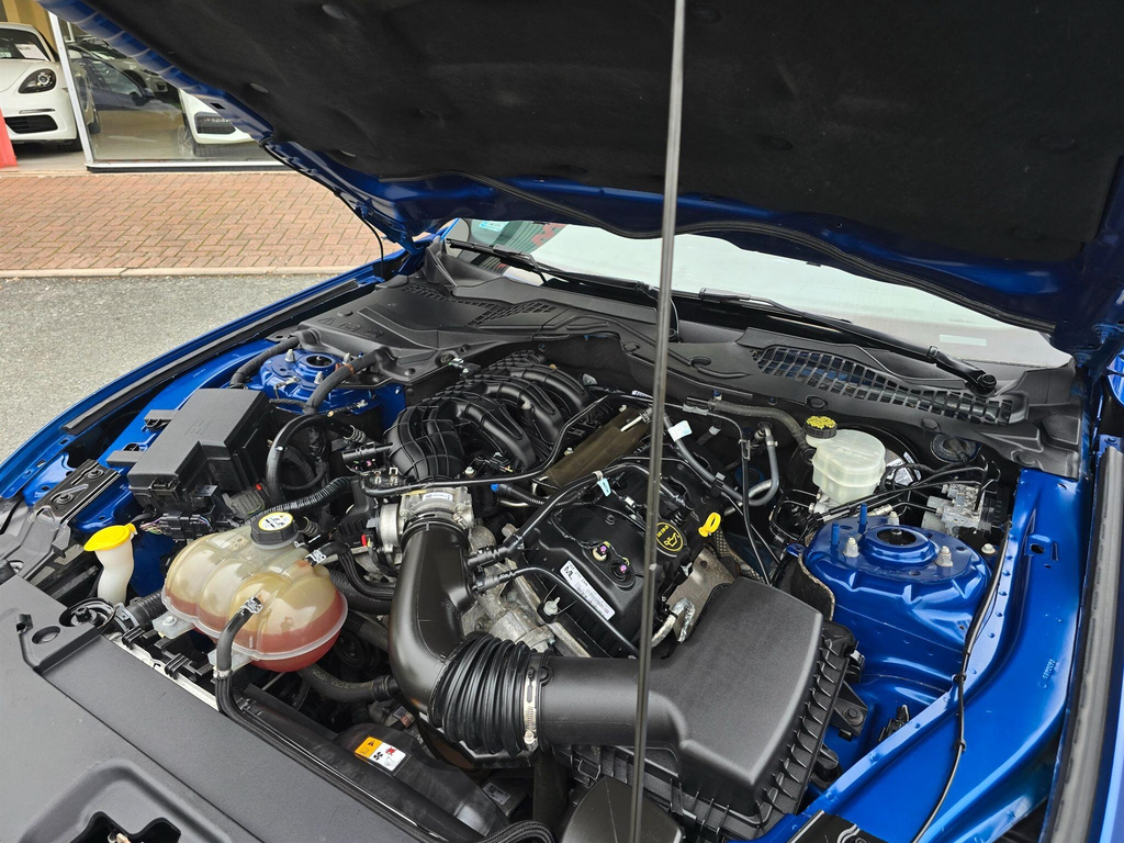 Ford Mustang 5.0 V8 Mach 1 Fastback Tremec Euro 6 #35