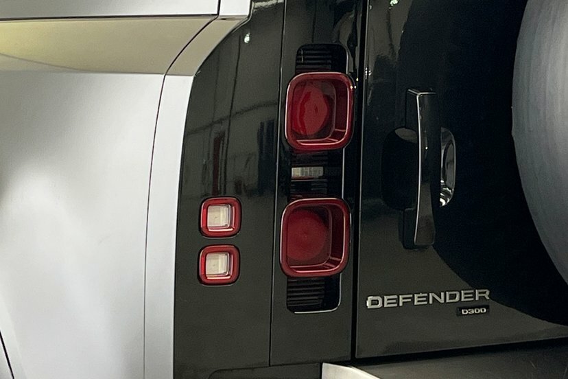 Land Rover Defender 110 Defender D250 X-dynamic Se 110 3.0  #19