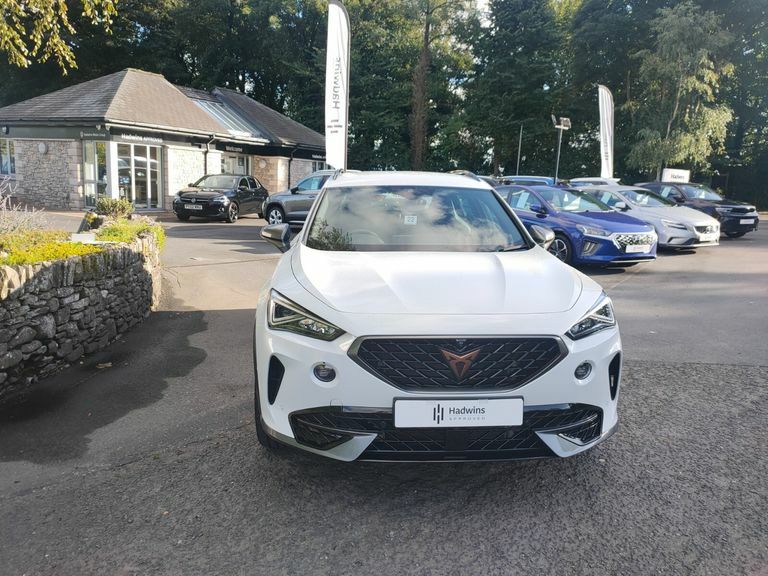 Cupra Formentor 1.5 Tsi 150 V2 Dsg White #5