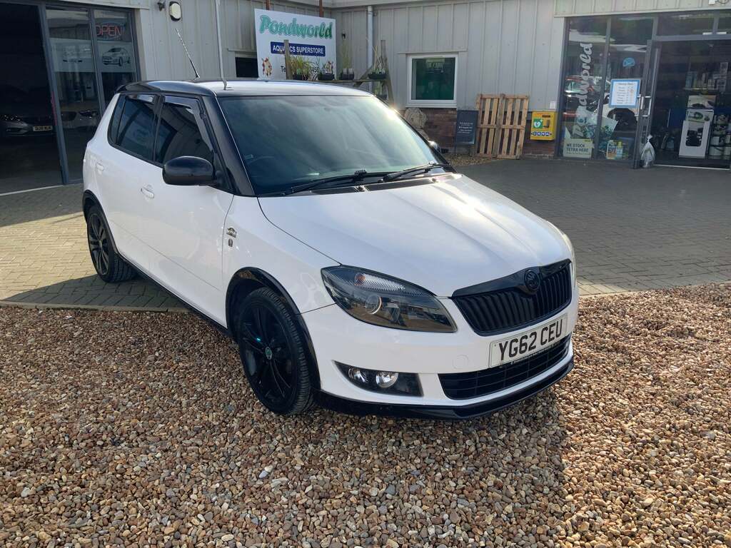 Skoda Fabia 1.2 S Euro 5 Silver #7