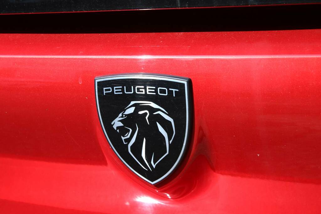 Peugeot 308 Diesel Blue #22
