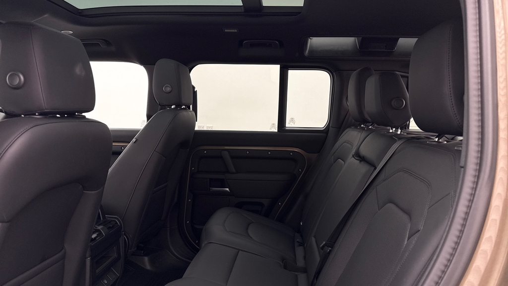 Land Rover Defender 110 D250 X-dynamic Se Gondwana Stone #4