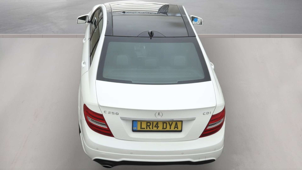 Mercedes-Benz C Class C220 Bluetec Sport Grey #14