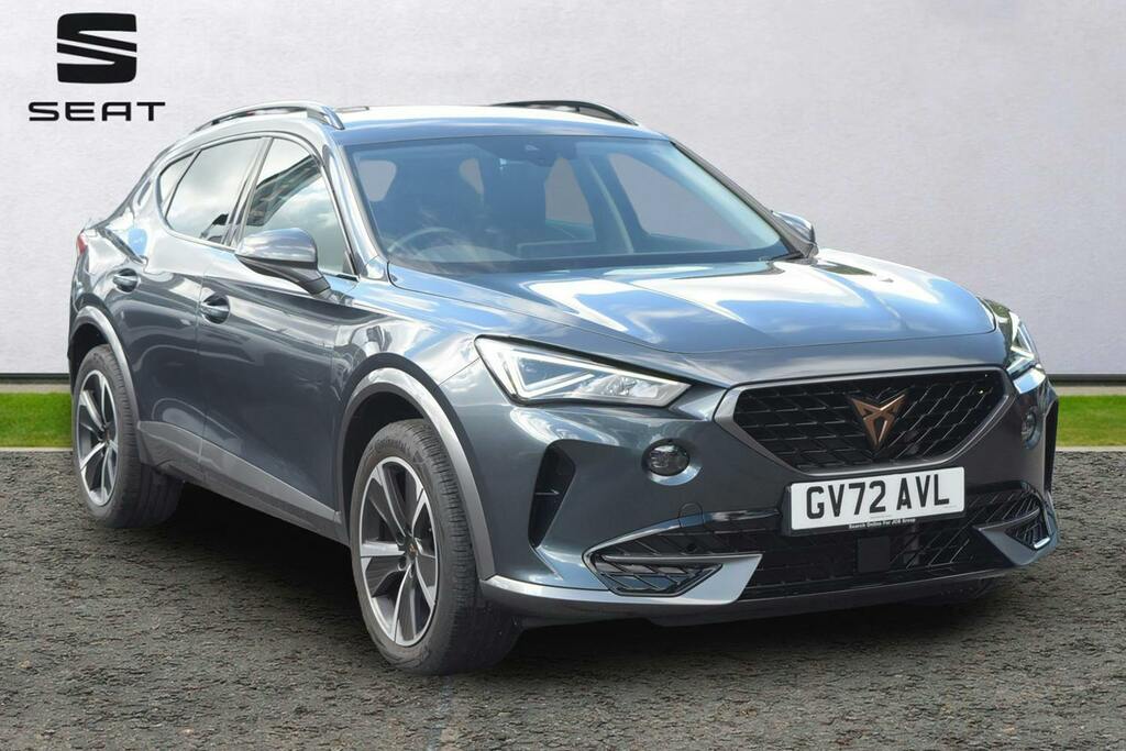 Cupra Formentor 1.5 Tsi V1 Suv Grey