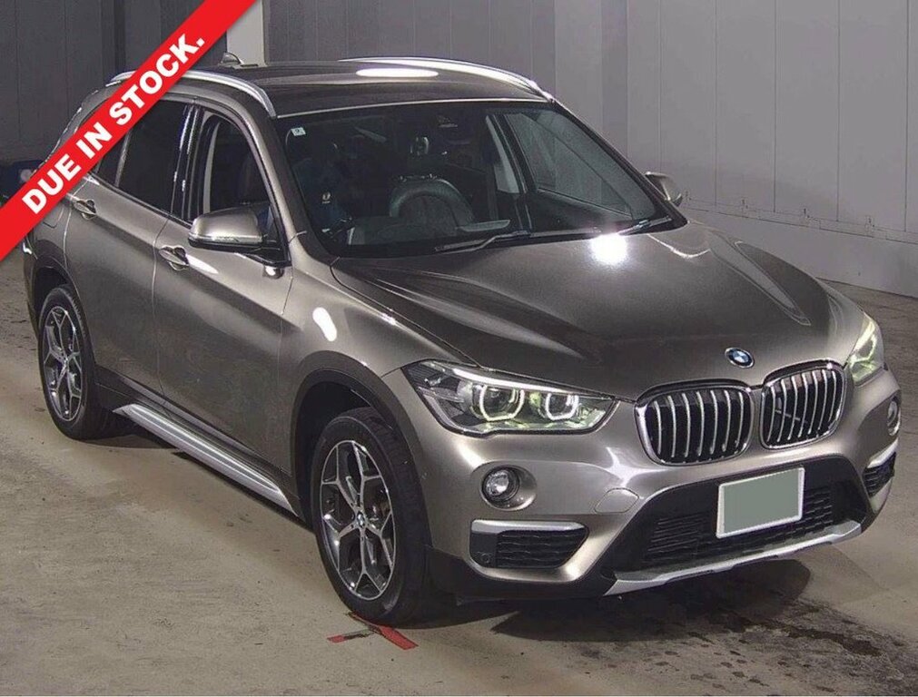 BMW X1 2L Xline Brown