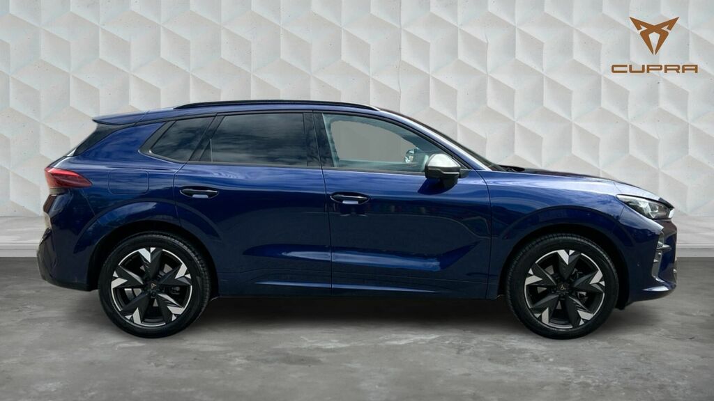 Cupra Terramar Etsi V2 Dsg Euro 6 5-Door Blue #4