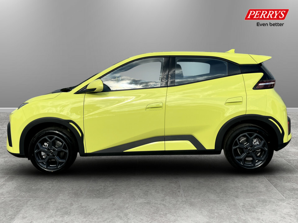 Byd Dolphin 65Kw Boost 43Kwh Green #4