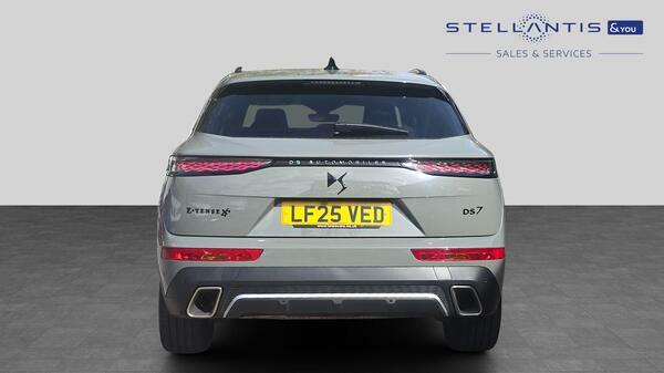DS DS 7 1.6 E-tense 14.2Kwh Performance Line Suv Pet #4